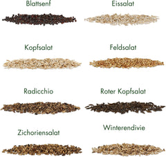 Salatsamen: Set mit 8 Sorten Salatsamen für Garten und Balkon – Salatsamen, Senfblatt, Feldsalat (winterhart), Radicchio, Endiviensamen, Chicorée – Salatgemüsesamen von OwnGrown