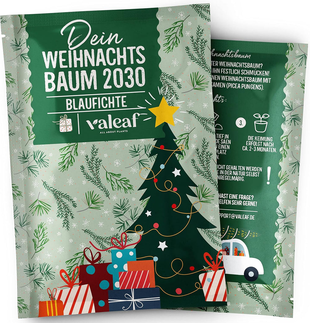 Weihnachtsbaum 2030 – Nordmann Weihnachtsbaumsamen zum Pflanzen eines Weihnachtsbaumes, ideal als Wichtelgeschenk zu Weihnachten