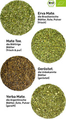Set de degustare ceai Mate ● 4 sortimente de ceai Mate bio ● Câte 100 g Erva Mate + Yerba Mate + Ceai verde Mate + Ceai Mate prăjit
