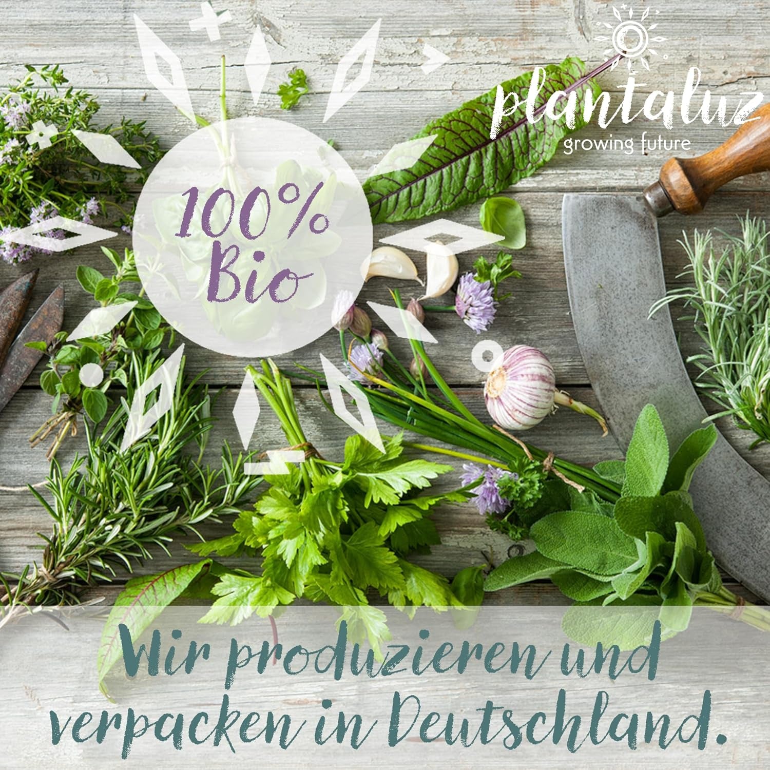 Plantaluz Premium Bio-Samen-Set P04 – Mediterranes Gemüse- und Kräuter-Samen-Set mit 10 Sorten für Garten, Balkon und Hochbeet – inklusive FSC-Pflanzstäbchen – frei bestäubte und gentechnikfreie Bio-Samen