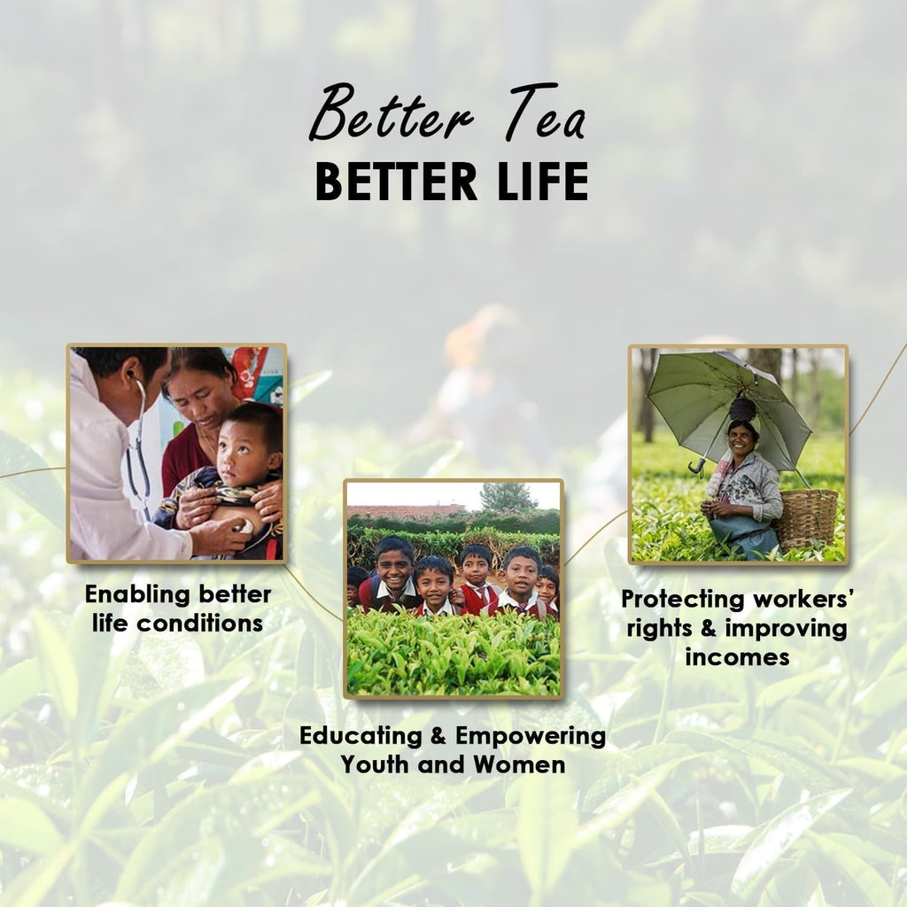 Twinings English Breakfast Ceai negru 50 g, 25 pliculețe de ceai, ceai negru plin, rotund și puternic din cele mai bune plantații de ceai din Sri Lanka și India. Ceai negru Pachet de 1 (1 x 50 g)