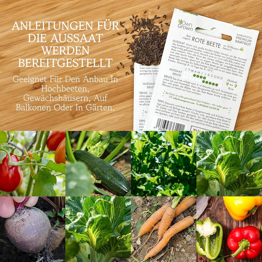 OwnGrown Gemüsesamen-Set – 12 Pflanzensamen-Sorten für Hochbeet und Garten – Praktische Box mit Gemüsesamen für den Anbau Frischer Ernte zu Hause – Ideal für Gartenliebhaber