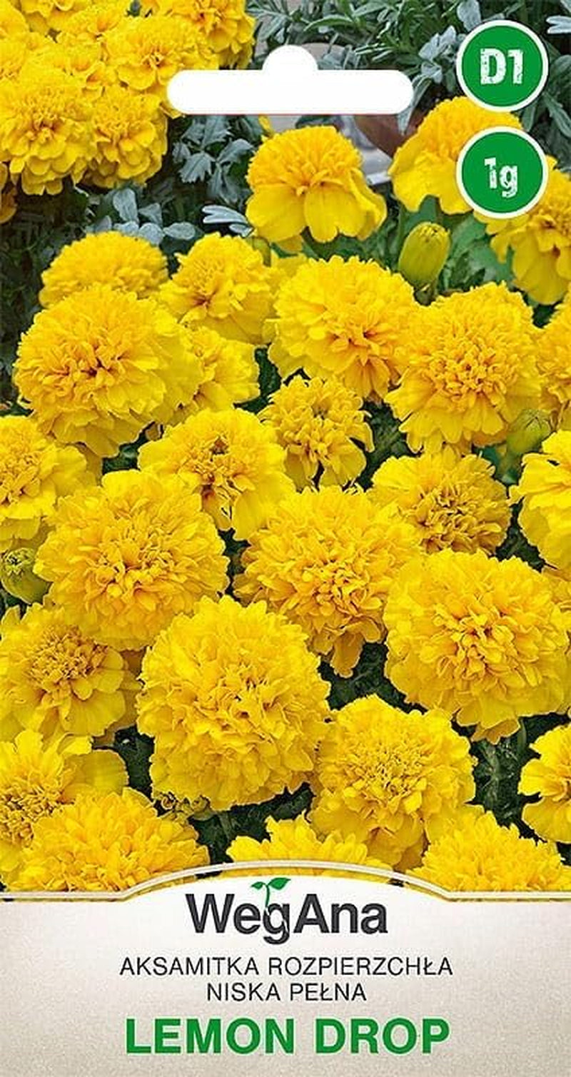 Cosmos Sensation Mix 1g Samen, Cosmos Mix Sommerblumen, Gartenpflanzen Balkonpflanzen, Blumensamen