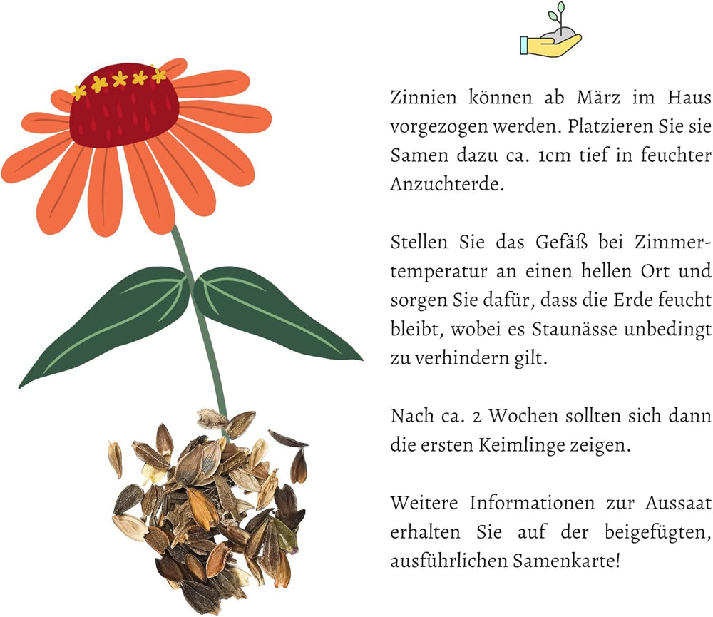 Zinnien-Samenmischung (Zinnia) – Bunte Sommerblumen für Gartenbeet, Balkon, Terrasse und als Schnittblumen in Vasen