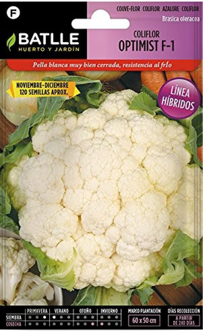 Batlle Gemüsesamen - Blumenkohl Dominant Weiss (1050 Samen)