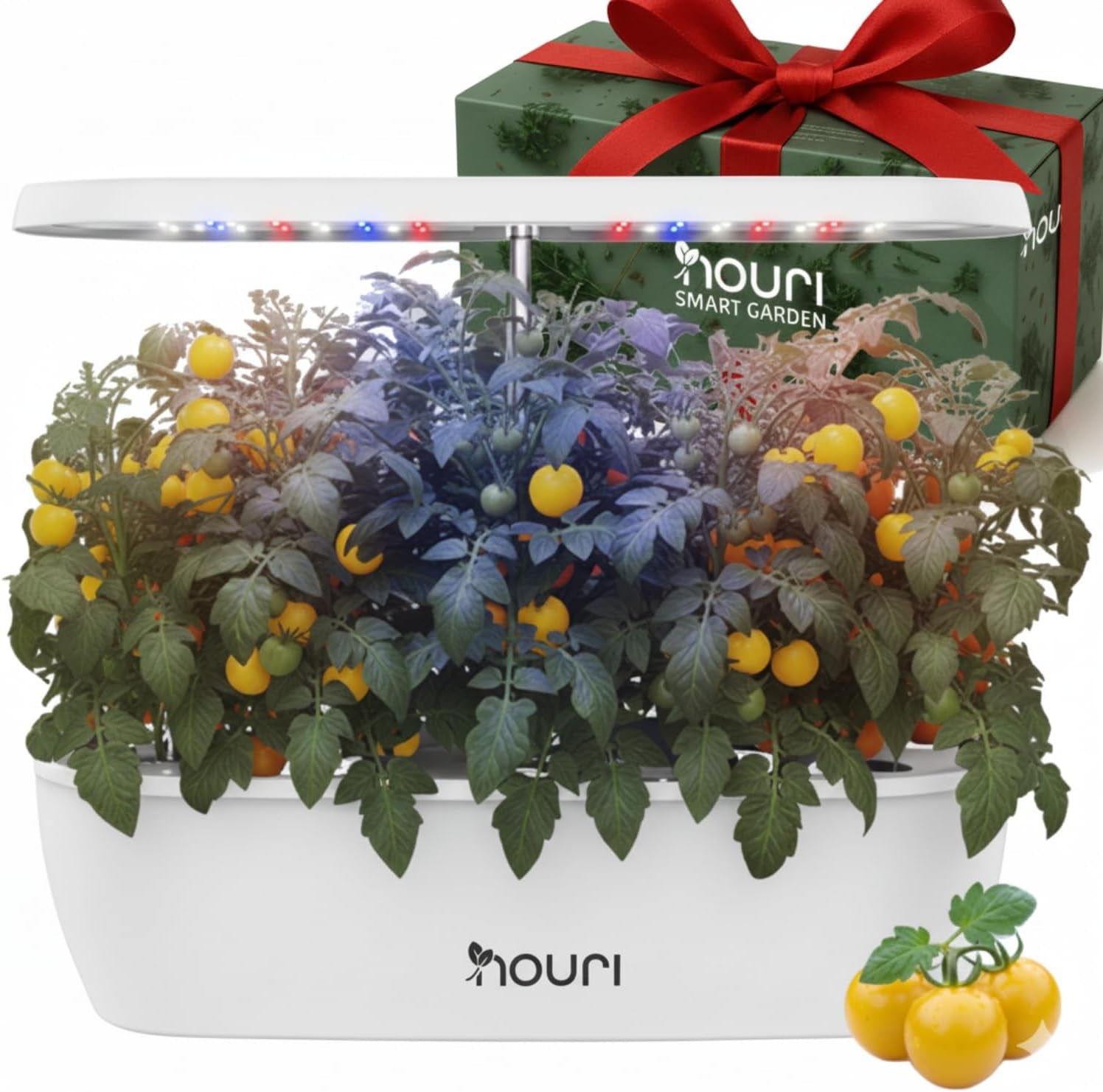 Neue 7 Bridge + Heirloom Basilikum | Smart Garden für Hobbyköche | Hydroponisches Anbausystem | LED-Wachstumslichter | Kräutergarten-Set für den Innenbereich für Pflanzenliebhaber und Gärtner, Weiß