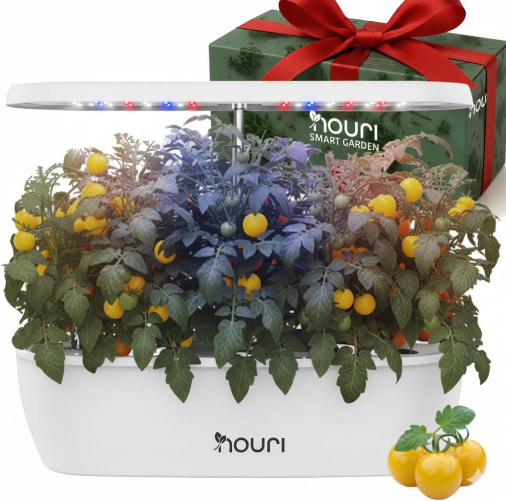 Neue 7 Bridge + Heirloom Basilikum | Smart Garden für Hobbyköche | Hydroponisches Anbausystem | LED-Wachstumslichter | Kräutergarten-Set für den Innenbereich für Pflanzenliebhaber und Gärtner, Weiß