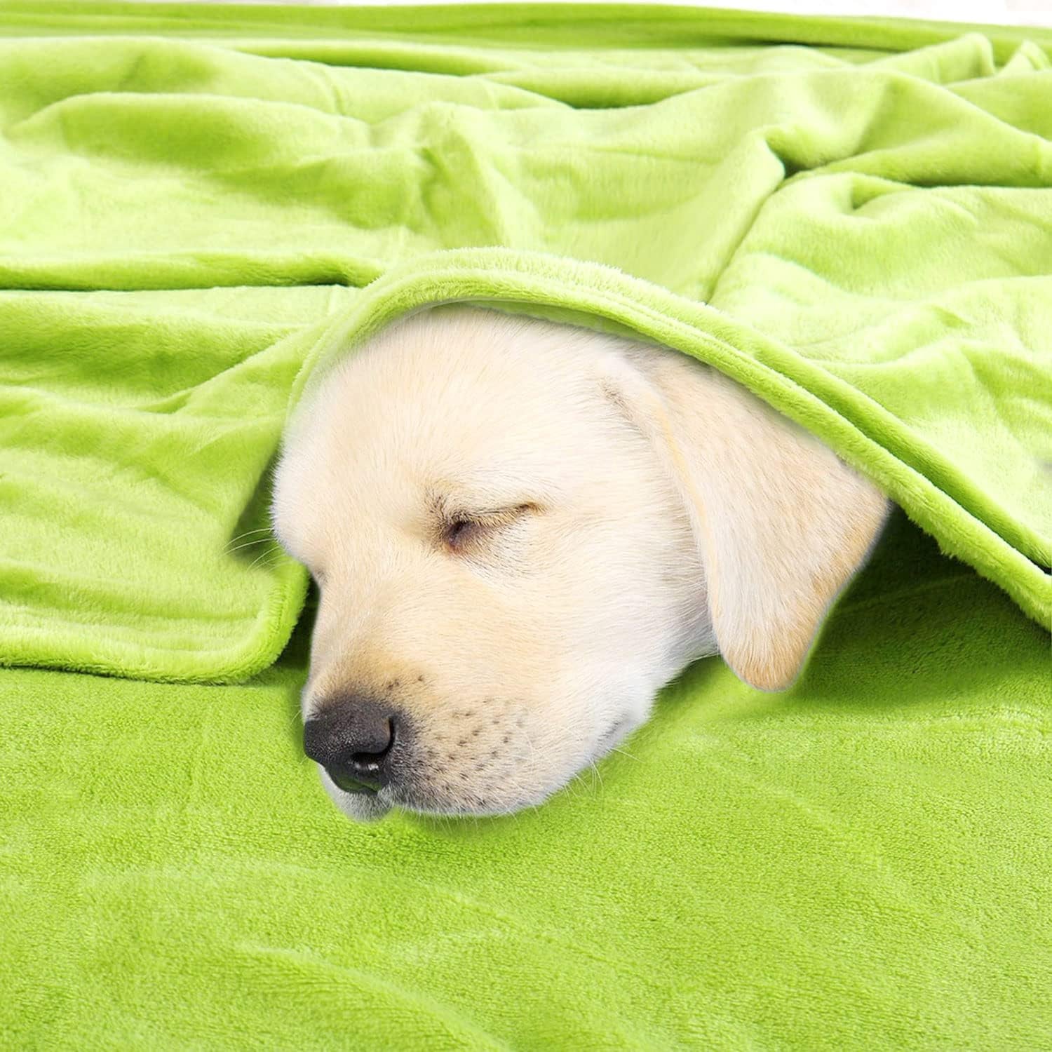 Sourcing Map Gemütliche Decke Tagesdecke Weiche & warme Fleecedecke als Sofadecke Sofadecke Wohnzimmer- und Kuscheldecke Wolldecke Weicher Samtplüsch Apfelgrün 150X200Cm Betten und Decken uxcell