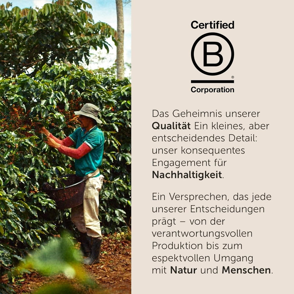 illy, Kaffeebohnen Zum Mahlen CLASSICO, 100 % Arabica mit Noten von Orangenblüten und Jasmin, Sanfter Geschmack und Süßer Nachgeschmack, 1 Dose mit 500g