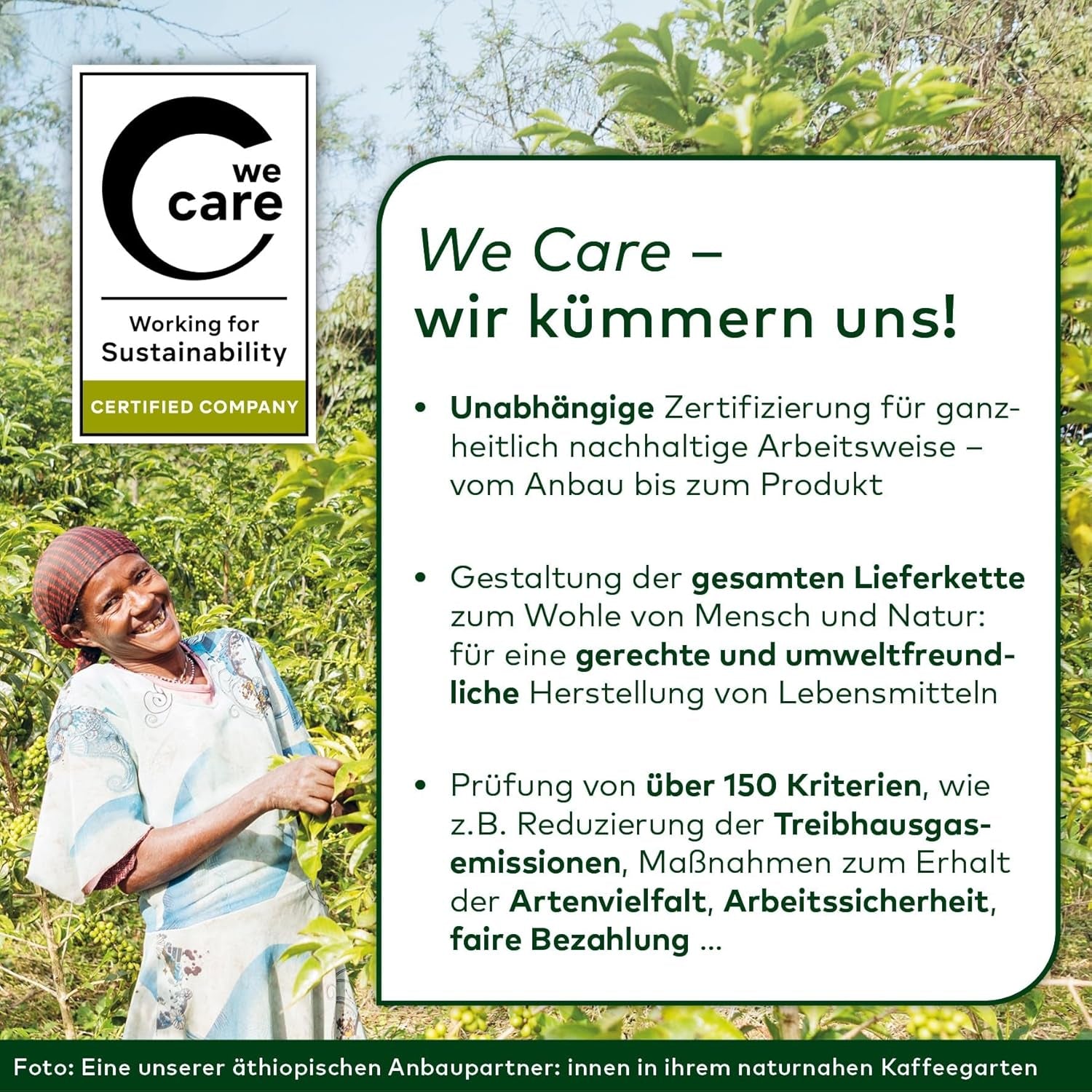 Lebensbaum Garam Masala, Bio-Gewürz zum Würzen von Currys, Reis und Geflügel mit würzig-wärmeren und angehenden pfeffrigen Noten, 40 g