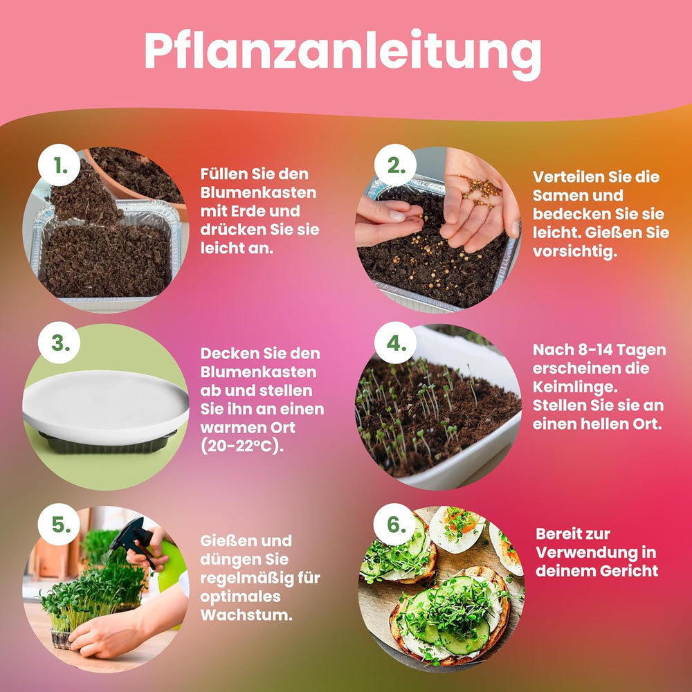 LERAVA Kräutersamen Set – 12 Sorten: Basilikum Samen, Parsilie Samen, Koriander, Oregano & mehr – Saatgut für frische Kräuter im Garten oder Topf, Premium Samen für Küche & Balkon – Samenset, Samen