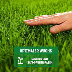 Gardengloss Rasensamen Schnellkeimend Herbst 0,5Kg - Made in Germany - 25M2 Fläche Rasen - Grassamen Turbo Nachsaat Und Neuanlage - Rasennachsaat
