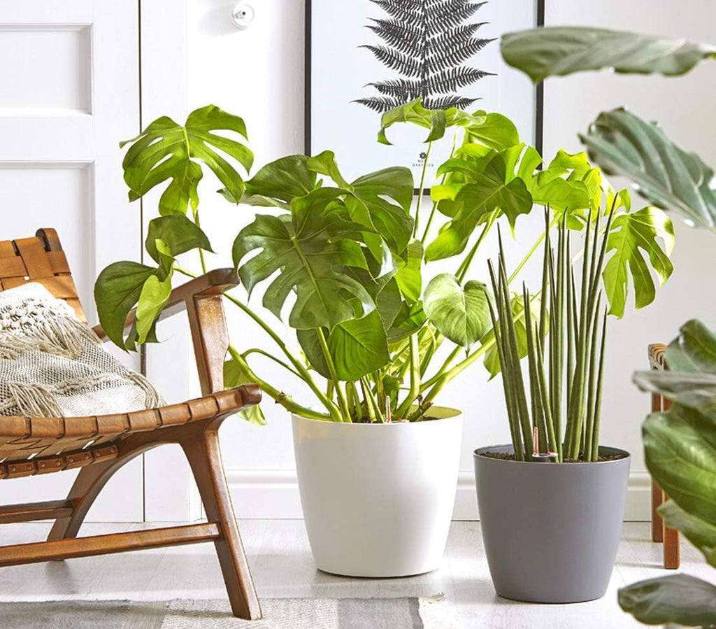 Ghiveci Dehner Mila cu sistem de auto-udare, Ø 30 cm, înălțime 26 cm, plastic, alb