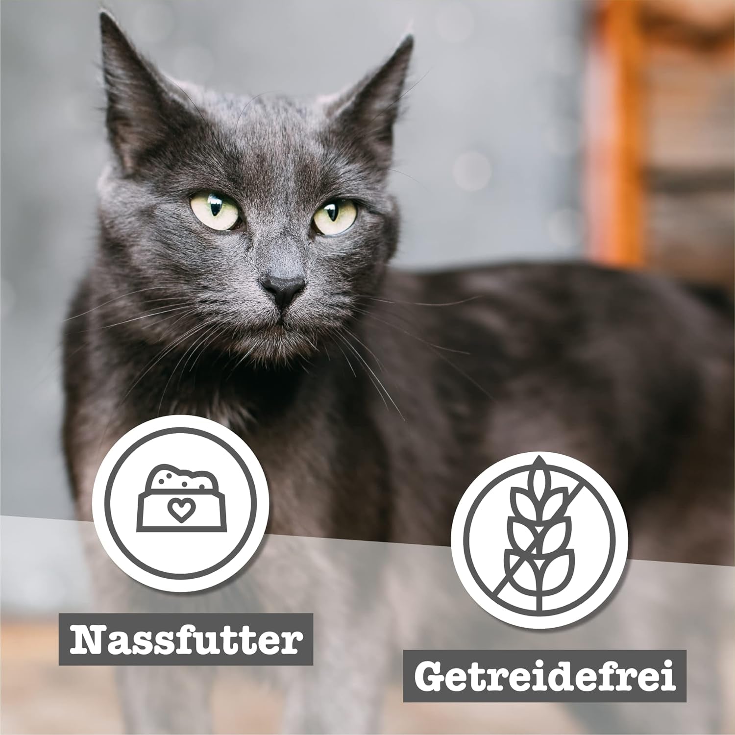 catz finefood Senior Collection Katzenfutter nass - Premium Nassfutter für Ihre Senior Katze - getreidefrei, ohne Zucker, hoher Fleischanteil, Vitamine & Mineralien (6 x 200g Dose)