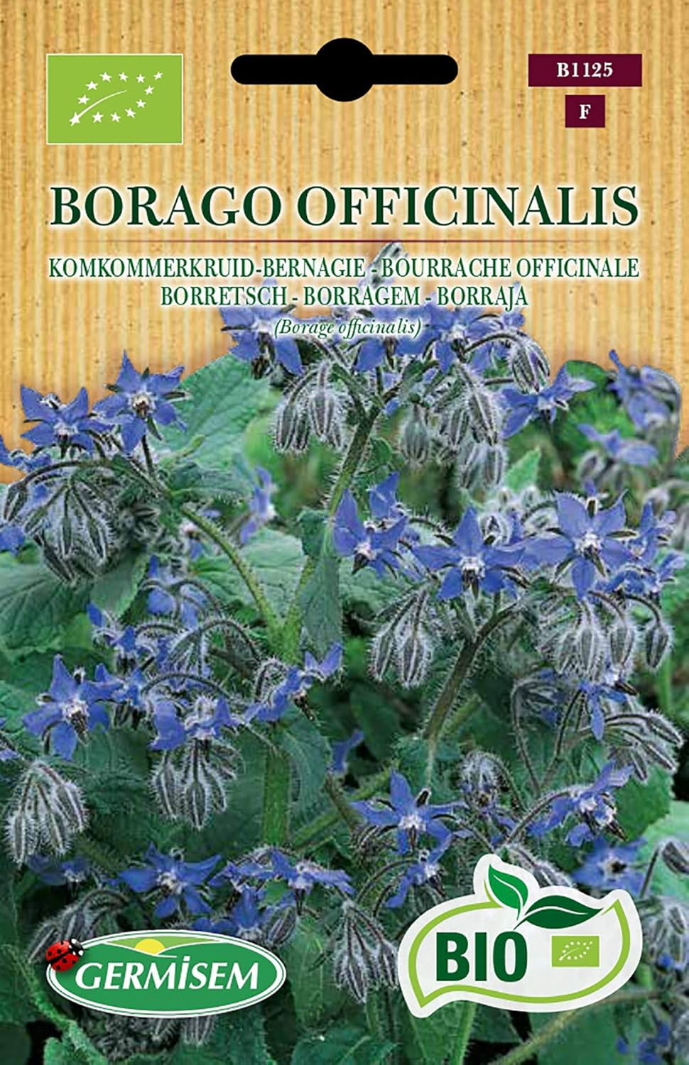 Borretsch BORAGO OFFICINALIS, ECBIO1125