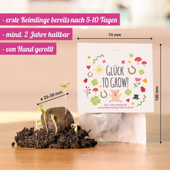 10x „Glück to grow“ Semenbomben als Glückbringer 2026 & Blumensamen Geschenk | Mitbringsel Erwachsene & kleine Gastgeschenke Silvester - Kleeblatt Glückbringer Prüfung - inkl. Geschenkkarten-Set