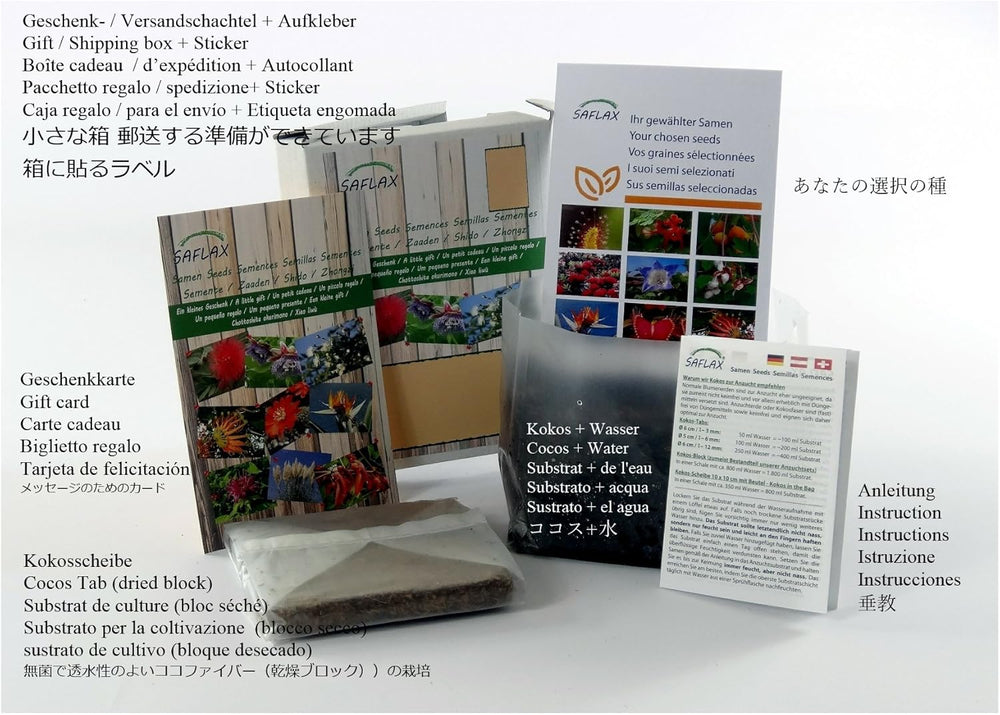 SAFLAX - Geschenk Set - Heilpflanzen - Gojibeere - 200 Samen - Mit Geschenk- / Versandbox, Versandaufkleber, Geschenkkarte Und Anzuchtsubstrat - Lycium Chinensis
