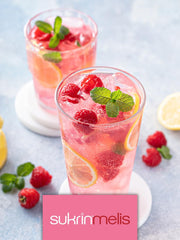 Sukrin Melis Zuckerersatz, Die natürliche Alternative zu Puderzucker ohne Kalorien, 1er Pack (1 x 400 g) Süßstoffe Naty Shop