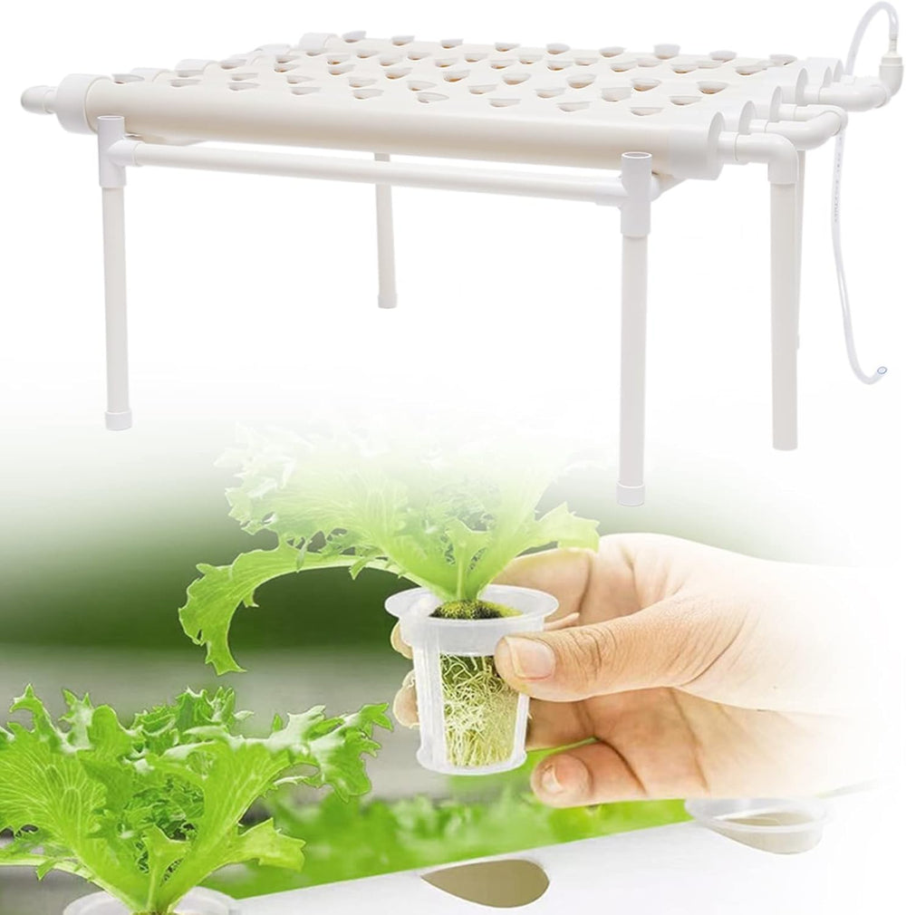 Hydroponische Systeme Grow Set Hydrokultur Pflanze Gemüse Hydroponische Pflanzen BewäSserung System Garten Kit Garden Tool Pflanze Sites Growing Hydroponics Hydroponisches Anzuchtsystem 54LöCher 6Rohr