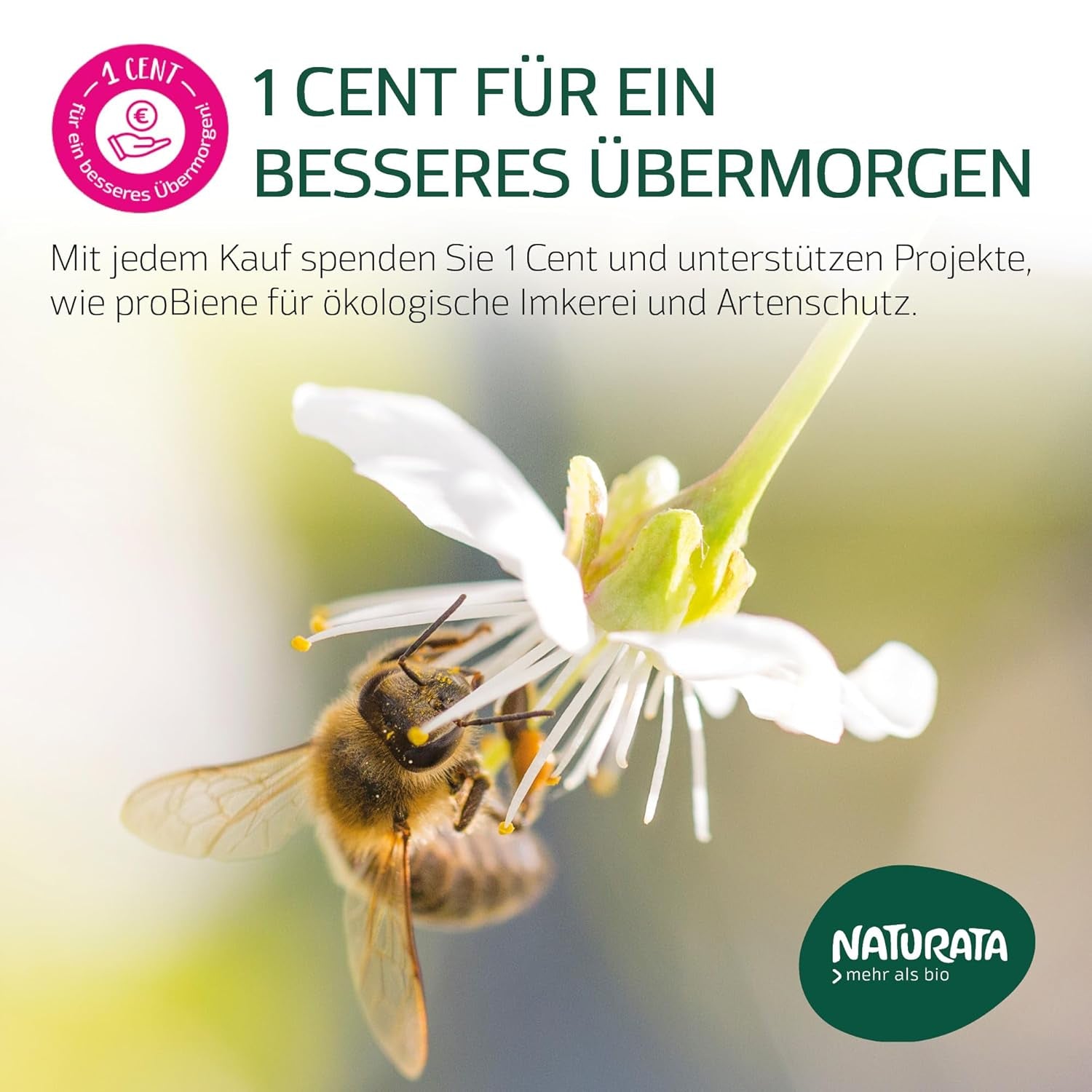 Bio-Dinkel-Lasagneblätter, 250g | Demeterzauber von der Schwäbischen Alb | Zarter Nussgeschmack für Lasagne und Aufläufe