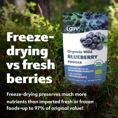 LOOV Organic Wild Blueberry Powder - rezervă pentru 29 de zile, 171 g, bună pentru smoothie-uri și mic dejun, congelată și uscată, din Europa de Nord, fără zahăr adăugat Produse deshidratate Naty Shop