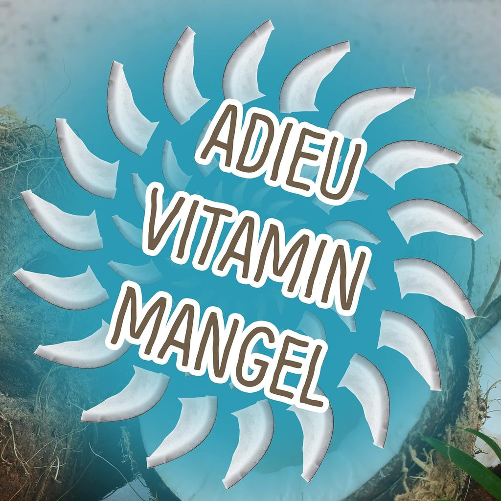 Nucă de cocos liofilizată: 50g fructe liofilizate - dulciuri vegane cuburi de nucă de cocos îndulcite - fructe uscate natural de la NutriPur Produse deshidratate Naty Shop