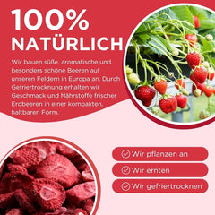 Summmer căpșuni liofilizate - pachet de 5 - fără zahăr, 100% naturale, delicioase gustări crocante pentru copii și adulți, ideale pentru cereale și cutii de prânz (55g) Produse deshidratate Naty Shop